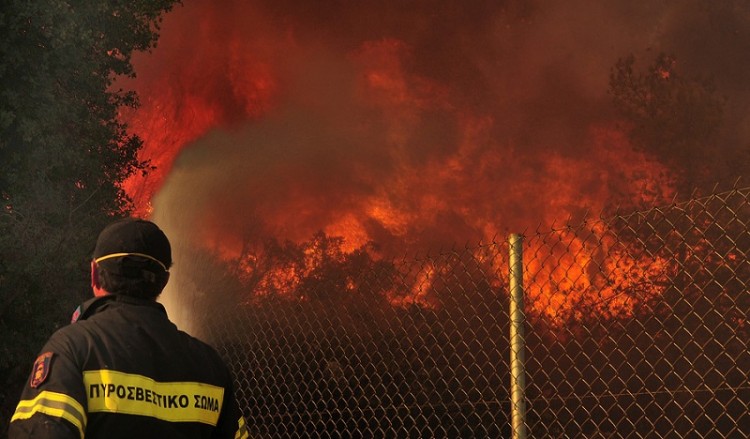 Φωτιά σε περιοχή του Δήμου Βόλβης Θεσσαλονίκης 2