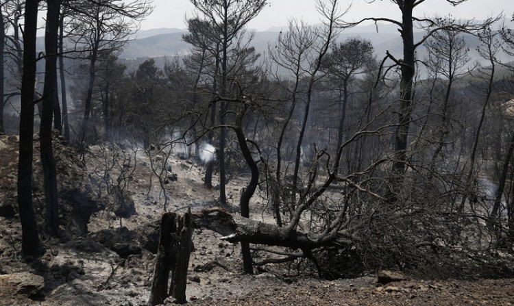 Αναζωπυρώθηκαν τα πύρινα μέτωπα στα Δερβενοχώρια
