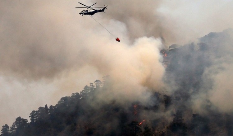 Φωτιά στην περιοχή Τσίπιανα Αρχαίας Ολυμπίας 3