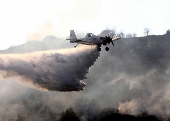 Φωτιά σε περιοχή του Δήμου Βόλβης Θεσσαλονίκης 3