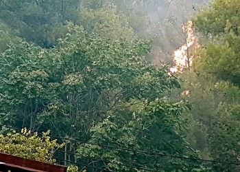 Μεγάλη πυρκαγιά στη Χίο – Εντολή για εκκένωση οικισμών  2