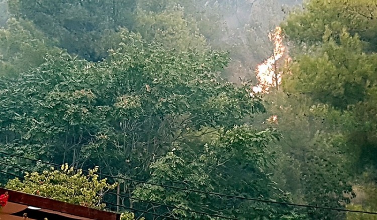 Μεγάλη πυρκαγιά στη Χίο – Εντολή για εκκένωση οικισμών  2