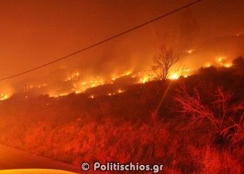 Σε ύφεση η μεγάλη φωτιά στη Χίο – Αποτεφρώθηκαν χιλιάδες μαστιχόδεντρα
