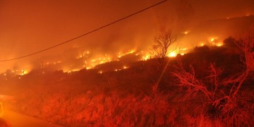 Σε ύφεση η μεγάλη φωτιά στη Χίο – Αποτεφρώθηκαν χιλιάδες μαστιχόδεντρα