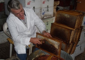 Όσκαρ σε ελληνικό αγροτικό προϊόν από τους Άγγλους (βίντεο-φωτο)