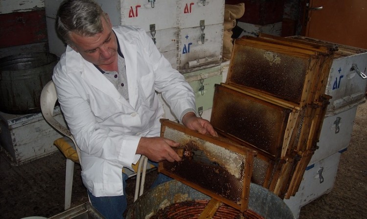 Όσκαρ σε ελληνικό αγροτικό προϊόν από τους Άγγλους (βίντεο-φωτο)