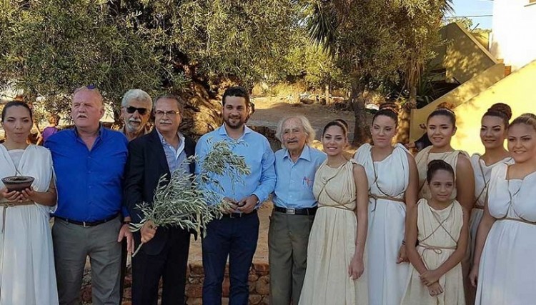 Ο κότινος από την αρχαία ελιά των Βουβών στο Ρίο