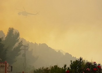 Πυρκαγιά έξω από την Τσαριτσάνη Ελασσόνας 6