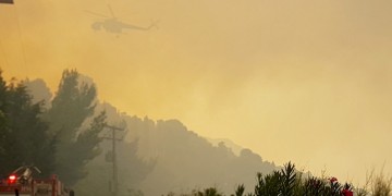 Πυρκαγιά έξω από την Τσαριτσάνη Ελασσόνας 6