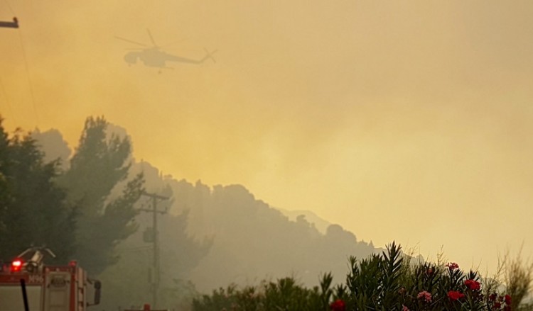 Πυρκαγιά έξω από την Τσαριτσάνη Ελασσόνας 6