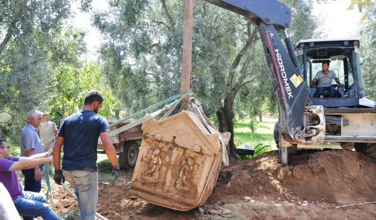 Ξεφυτρώνουν σαρκοφάγοι από ελαιώνα στη Νίκαια της Βιθυνίας (φωτο, βίντεο)