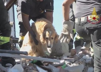 Σεισμός στην Ιταλία: Ο σκύλος που έζησε 9 ημέρες κάτω από τα χαλάσματα (βίντεο)