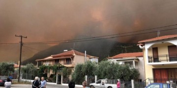 Φωτιά στην Πελλάνα Λακωνίας 6