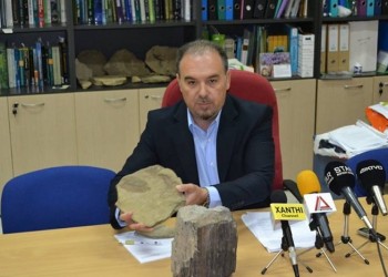 Στη Ροδόπη βρέθηκε απολιθωμένο δάσος που «κοντράρει» την Μυτιλήνη