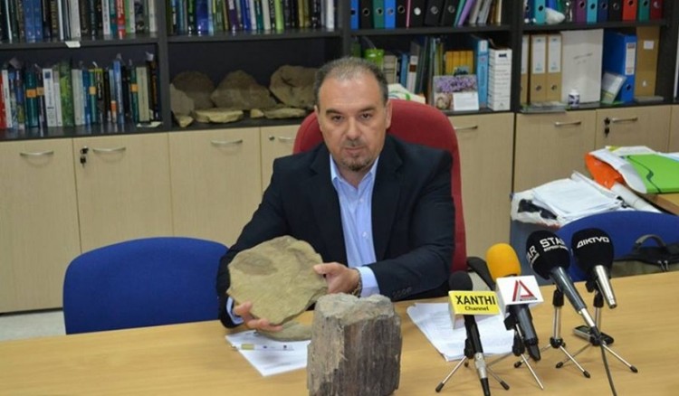 Στη Ροδόπη βρέθηκε απολιθωμένο δάσος που «κοντράρει» την Μυτιλήνη