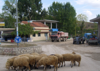Ερώτηση Παπαδημούλη προς Κομισιόν για τις μειονότητες στην Αλβανία