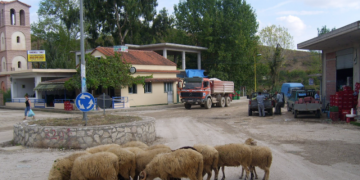 Ερώτηση Παπαδημούλη προς Κομισιόν για τις μειονότητες στην Αλβανία