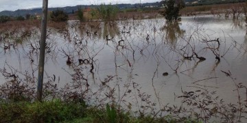 Τις πληγές της μετράει η Ζάκυνθος μετά τις καταστροφικές πλημμύρες (φωτο) - Media Gallery