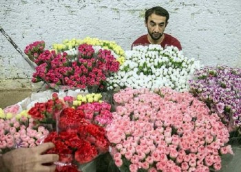 Κινδυνεύουν εξαγωγές 500 εκατ. ευρώ από Τουρκία για Ολλανδία