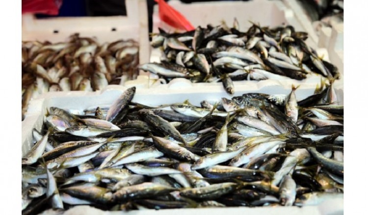 Χρυσάφι τα χαψία και οι μπακαλιάροι στην Τραπεζούντα