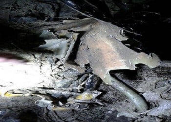 Εντός ημερών η απόφαση της Τουρκίας για την τύχη του Σύρου πιλότου