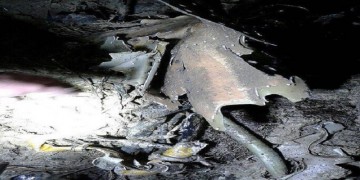 Εντός ημερών η απόφαση της Τουρκίας για την τύχη του Σύρου πιλότου