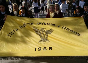 Το νέο ΔΣ της Στέγης Ποντίων Αμυνταίου