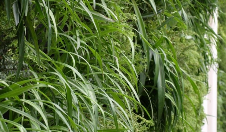 Κάθετο κήπο θα αποκτήσει δημοτικό κτήριο στη Θεσσαλονίκη