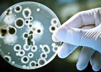Νέο ισχυρό αντιβιοτικό βρέθηκε μέσω τεχνητής νοημοσύνης