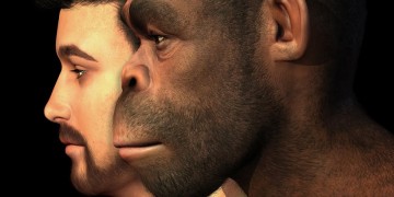 Πιθανότατα στην Ελλάδα εμφανίσθηκε ο πρώτος άνθρωπος