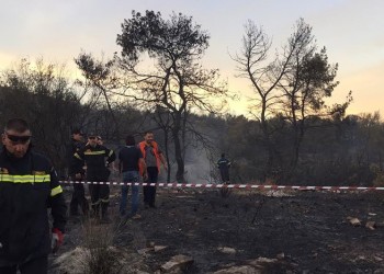 Πυρκαγιά στο Αγρίδι Ηλείας