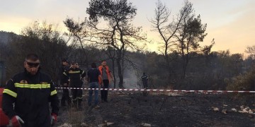 Πυρκαγιά στο Αγρίδι Ηλείας