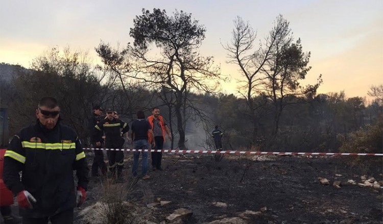 Πυρκαγιά στο Αγρίδι Ηλείας