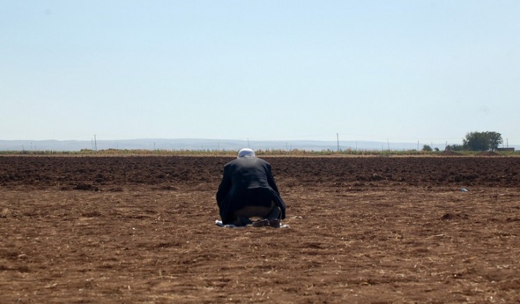 Αγόρασαν χωράφι στη Βοιωτία για να το κάνουν νεκροταφείο μουσουλμάνων;