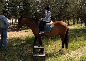 Βόλτες με άλογα και διασκεδαστικές δραστηριότητες στον ιππόδρομο στις 5 Ιουλίου