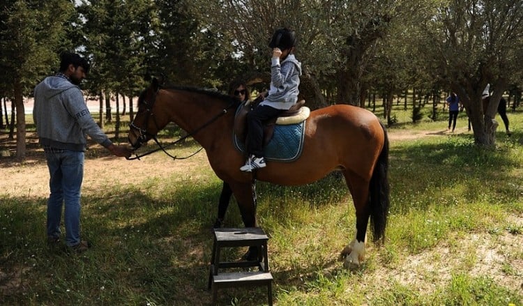 Βόλτες με άλογα και διασκεδαστικές δραστηριότητες στον ιππόδρομο στις 5 Ιουλίου