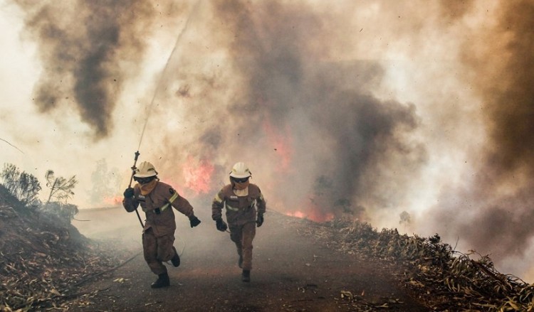 Σκηνές Αποκάλυψης από τη φωτιά στην Πορτογαλία: Πέθαναν μέσα στα αυτοκίνητά τους
