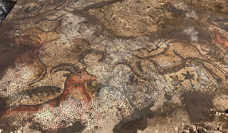 Ρωμαϊκό μωσαϊκό 1.600 ετών ανακαλύφθηκε στην ΝΑ Τουρκία