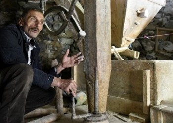 Οι χαμαιλέτες της Αυλίανας ανθίστανται στο χρόνο