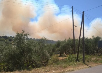 Μεγάλη φωτιά στην Κορώνη, απειλεί και σπίτια (φωτο)