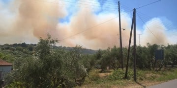 Μεγάλη φωτιά στην Κορώνη, απειλεί και σπίτια (φωτο)