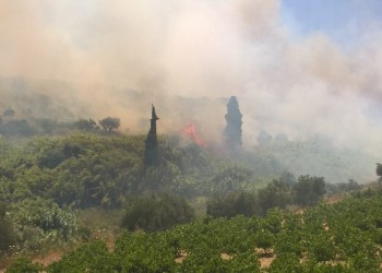 Υπό μερικό έλεγχο η φωτιά στην Κορώνη – Στάχτη 30 στρέμματα