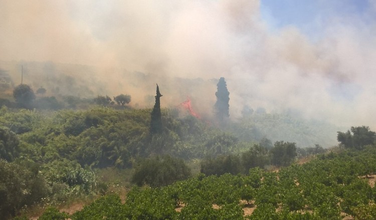 Υπό μερικό έλεγχο η φωτιά στην Κορώνη – Στάχτη 30 στρέμματα