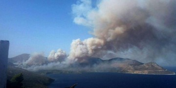 Φωτιές στην Κερατέα Αττικής και το Γραμματικό Ηλείας 6