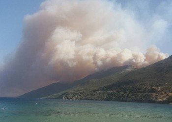 Αναζωπύρωση της φωτιάς στη Λακωνία – Κάηκαν σπίτια στον Κότρωνα