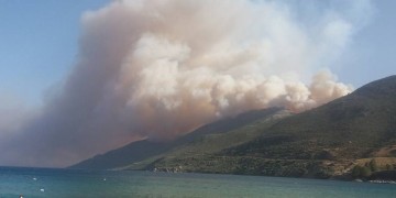 Αναζωπύρωση της φωτιάς στη Λακωνία – Κάηκαν σπίτια στον Κότρωνα