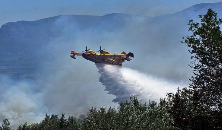 Φωτιές στην Κερατέα Αττικής και το Γραμματικό Ηλείας