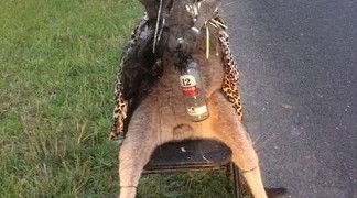 Σκότωσαν καγκουρό και το φωτογράφισαν με ένα μπουκάλι ούζο!