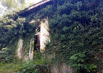 30+2 φωτογραφίες από το χωριό Κρηνίτα στον Πόντο – Κάποτε είχε πάνω από 350 Έλληνες