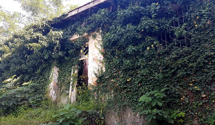 30+2 φωτογραφίες από το χωριό Κρηνίτα στον Πόντο – Κάποτε είχε πάνω από 350 Έλληνες